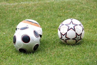 米兰体育APP下载-未来足球市场：数字资产与足球产业的融合，足球概念数字货币