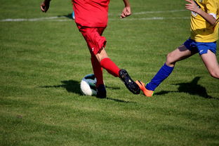 AC米兰-国际足球俱乐部青训论坛在广州召开，国际足联青训补偿标准